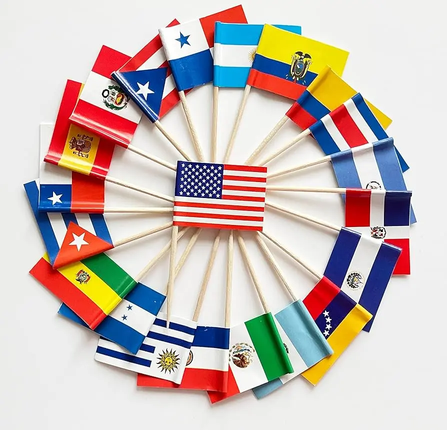 Professional Translation Services